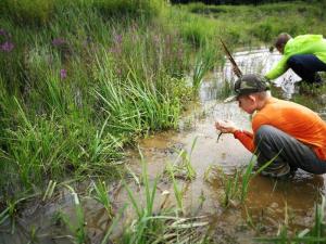 gozdni raziskovalci – kopija
